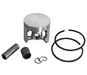 Piston and rings set on a white background